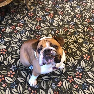 Meet your Posher, Michael